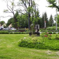 Lokal na wynajem