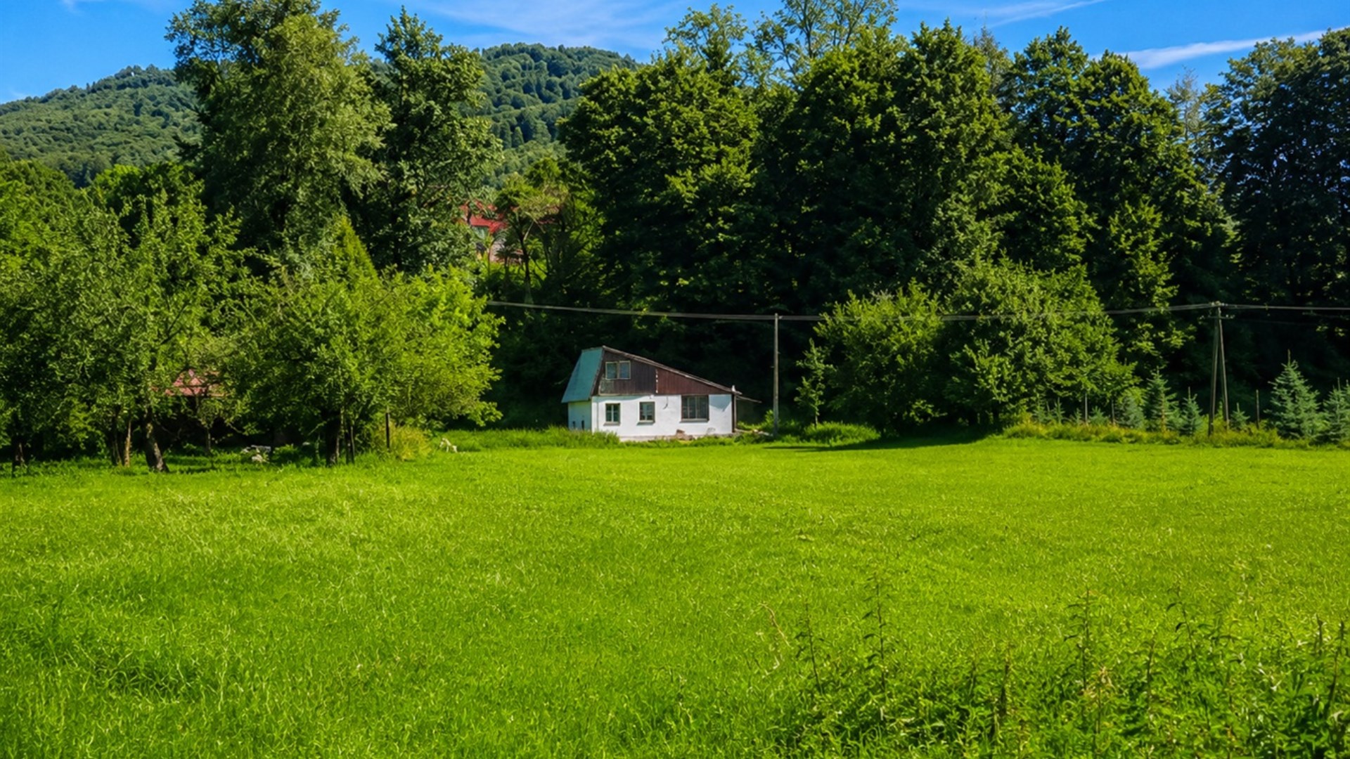 Dom na sprzedaż